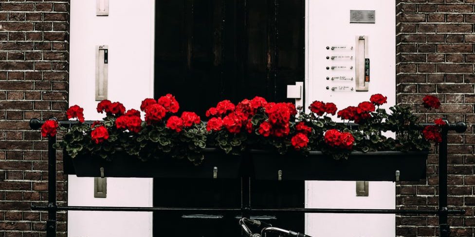 pexels-photo-4997809